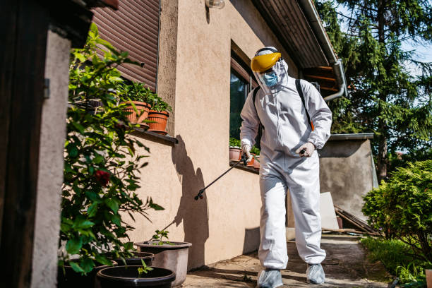 Best Pest Control Near Me in Woodburn, IN